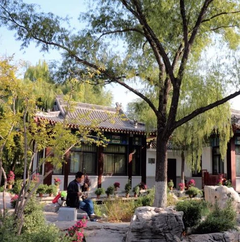 乱世王者金龙特效 8个位置金色就可以了吗_乱世王者金龙特效触发条件全解析，8个位置金色是否足够？