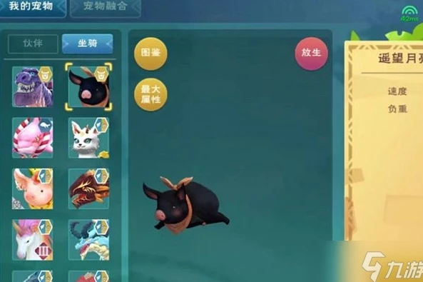 创造与魔法最新进阶宠物推荐_创造与魔法，最新进阶宠物全解析与推荐