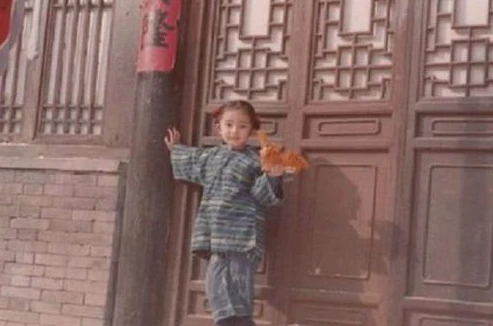 神雕侠侣2004免费观看全集_，一场武侠传奇的经典再现与深度解读