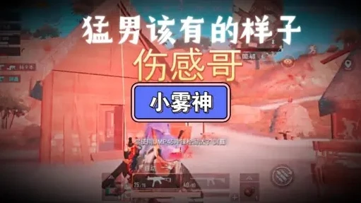小雾神头像_小雾神，和平精英中的伤感之旅——那些触动心灵的瞬间