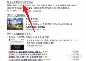 荒野行动pc申诉通道_荒野行动PC版申诉指南，全面解析申诉填写内容