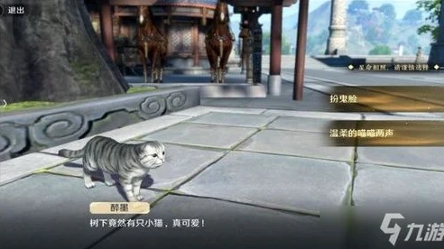 天涯明月刀手游猫咪怎么获得_猫咪获取全攻略，萌宠相伴江湖路