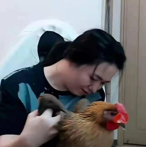 王者荣耀吕德华叫什么名字_趣谈王者荣耀吕德华，那些让人捧腹的梗图背后