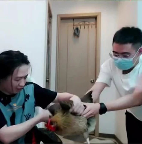 王者荣耀吕德华叫什么名字_趣谈王者荣耀吕德华，那些让人捧腹的梗图背后