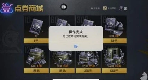 怎么可以查看在和平精英里一共充值了多少点券_和平精英充值总额查询全攻略