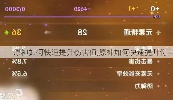 原神怎么快速提升伤害等级_原神快速提升伤害的全方位攻略
