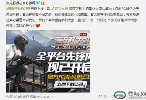 网易荒野行动pc版下载_网易荒野行动PC版下载，现状、问题与解决之道