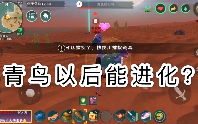 创造与魔法青鸟在哪 青鸟怎么捕捉_创造与魔法，青鸟仙宠物获取全攻略——青鸟位置与捕捉方法详解