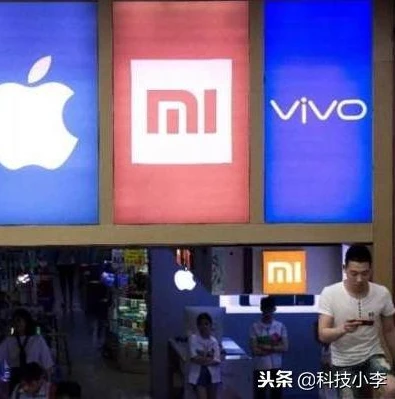 第五人格vivo版官网下载链接_畅享第五人格vivo版，官网下载全指南