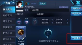王者荣耀体验服官网网址是什么_探索王者荣耀体验服官网，开启抢先体验之旅