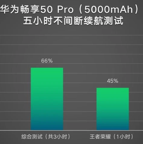 王者体验服官网下载专区安装_探索王者体验服官网下载专区，畅享王者新体验