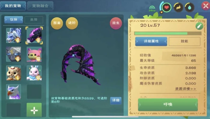 创造与魔法各宠物极品资质_创造与魔法，探秘灵异宠物极品资质