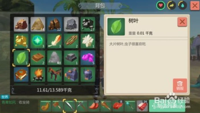 创造与魔法哪里有树叶_创造与魔法，探寻那些有枝有叶却非树的奇妙存在