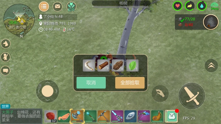 创造与魔法哪里有树叶_创造与魔法，探寻那些有枝有叶却非树的奇妙存在