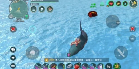 创造与魔法中灰鲨鱼的位置在哪里打_探秘创造与魔法中灰鲨鱼的神秘位置