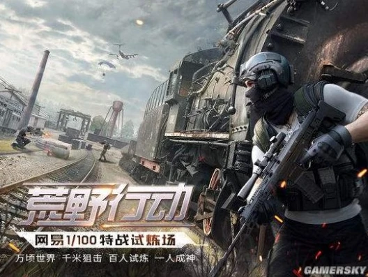 荒野行动深度适配版是什么意思啊_探秘荒野行动深度适配版，含义、优势与游戏体验的全方位升级