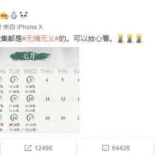 火影忍者回忆集数分段视频在线观看_火影忍者回忆集数全解析，那些穿插在热血中的温情与成长回顾