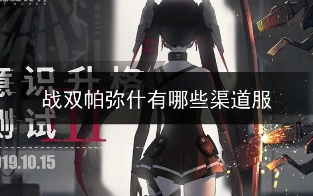 战双帕弥什 渠道服_战双帕弥什，渠道服的优劣与选择考量