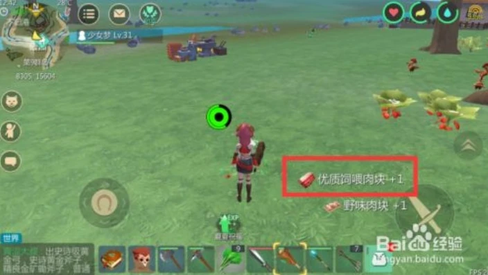 创造与魔法如何做狼王饲料视频_创造与魔法，狼王饲料制作全攻略