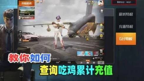 和平精英怎么看累计充了多少钱_和平精英，查看累积充值金额的方法全解析