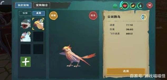 创造与魔法中云斑鹦鸟的饲料兑换码2021_创造与魔法,云斑鹦鸟饲料兑换码全揭秘及分布攻略(2021版)