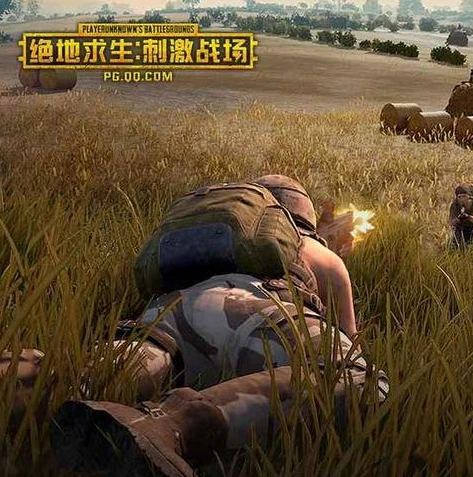 王者荣耀电脑版下载腾讯模拟器_畅玩王者荣耀电脑版，腾讯模拟器下载与安装全攻略