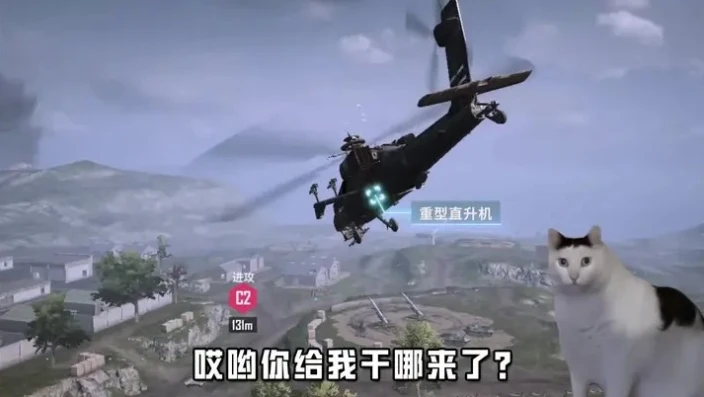 和平精英老六与c4_和平精英，海岛老六苟分秘籍之C4的奇思妙用